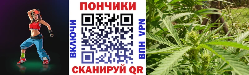 Виды наркоты Калач Каннабис Alpha-PVP Кокаин Гашиш Меф