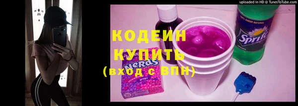 индика Сафоново