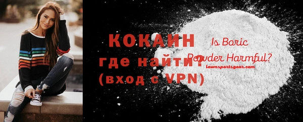 индика Сафоново