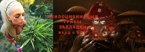 индика Сафоново